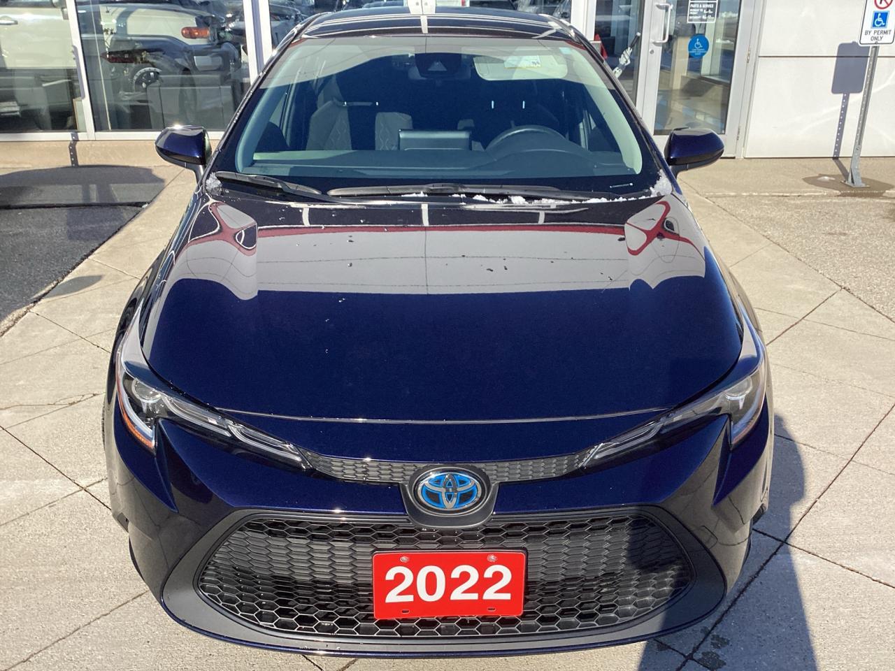 2022 Toyota Corolla Hybrid Photo