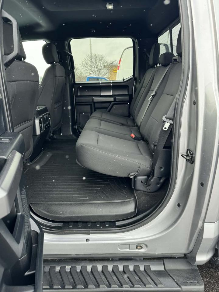 2020 Ford F-150 XLT 4WD 3.5L Eco Boost Sport Photo