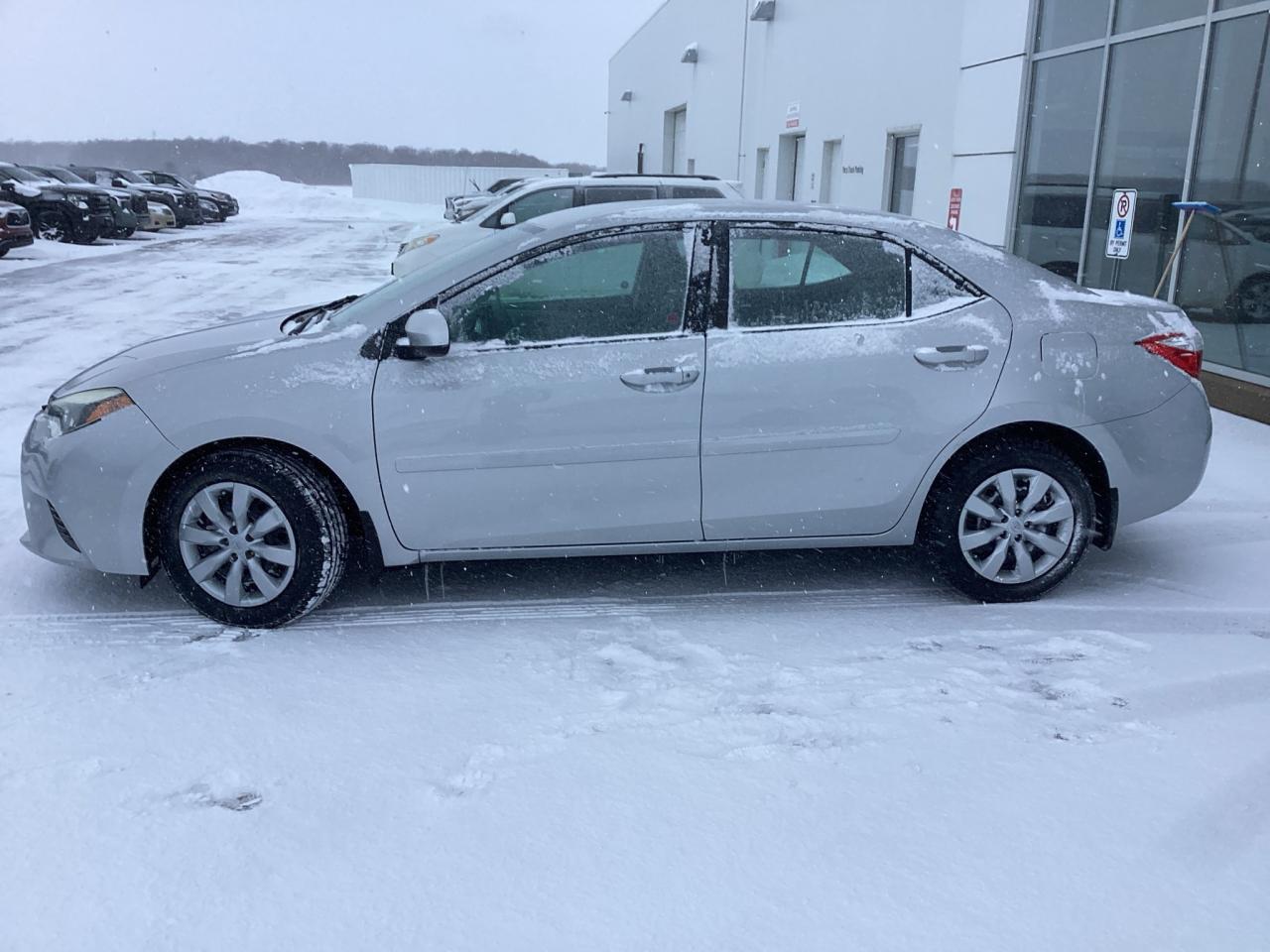 2016 Toyota Corolla LE Photo