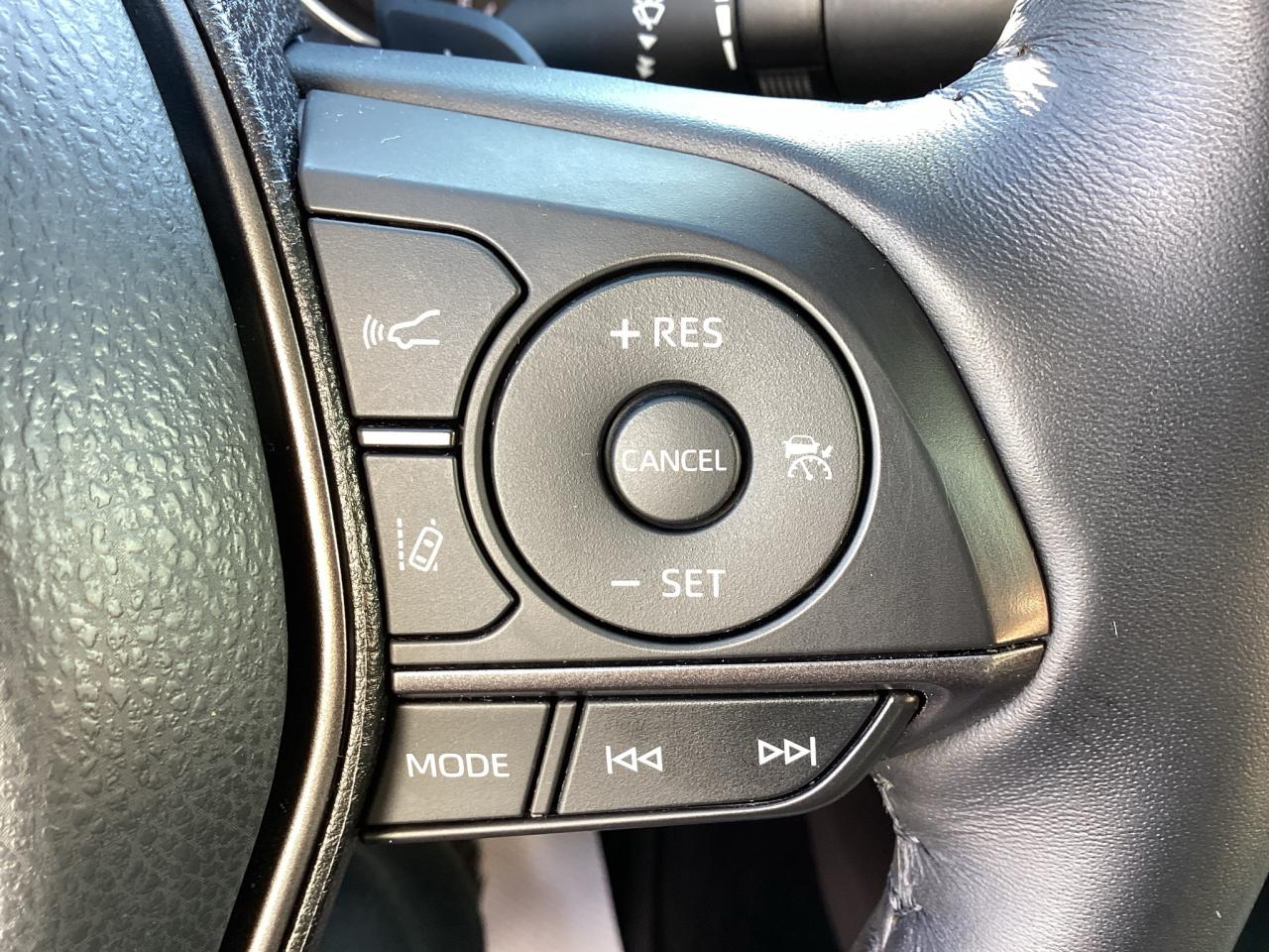 2022 Toyota Camry SE Auto Photo