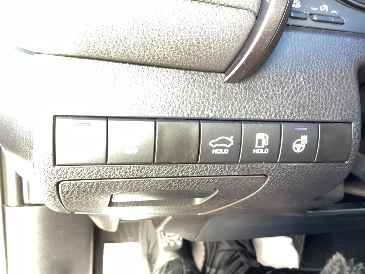 2022 Toyota Camry SE Auto Photo