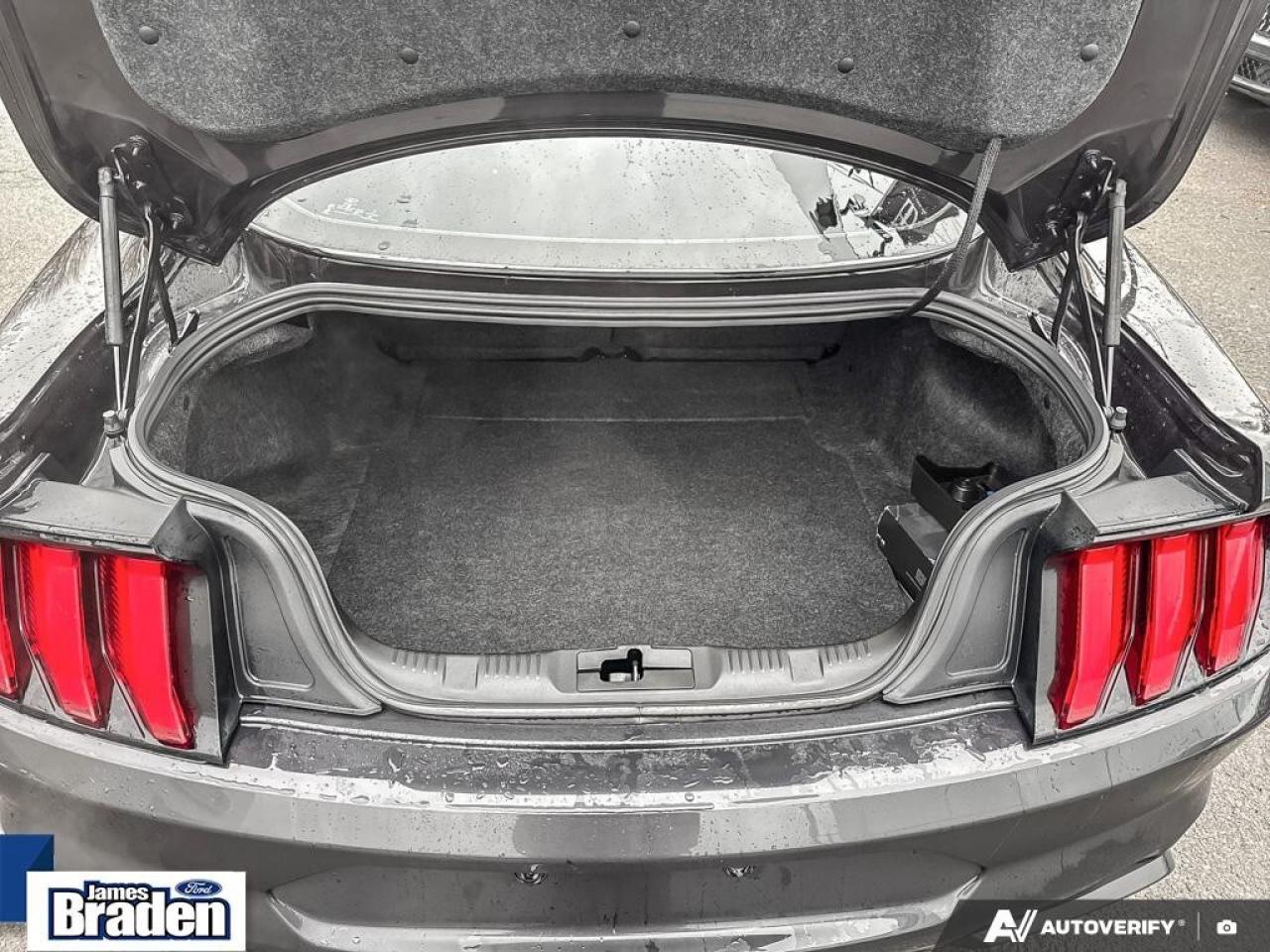 2022 Ford Mustang MACH 1   HANDLING PKG   NAVIGATION Photo