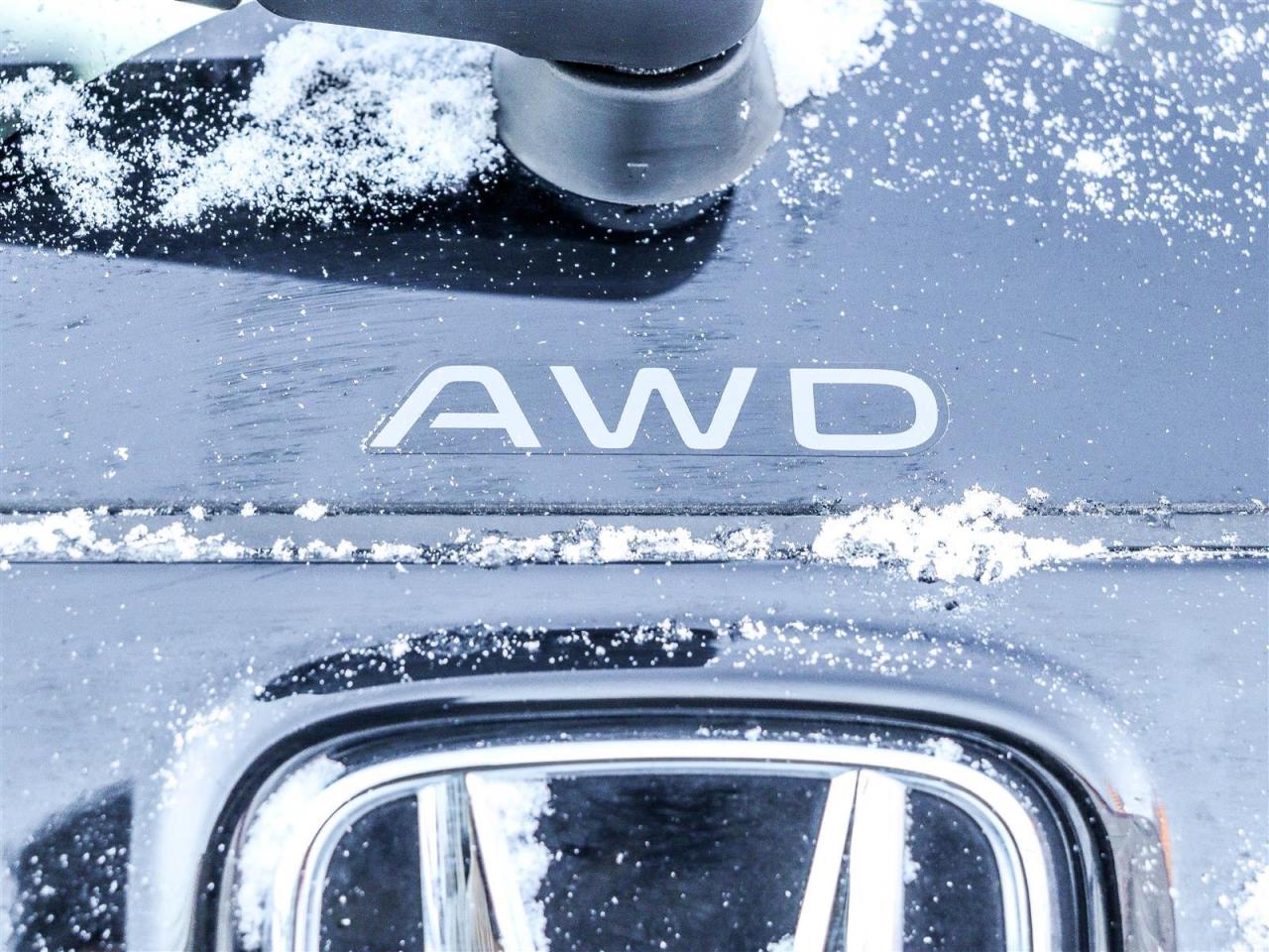 2024 Honda CR-V EX-L HYBRID AWD LEATHER Photo