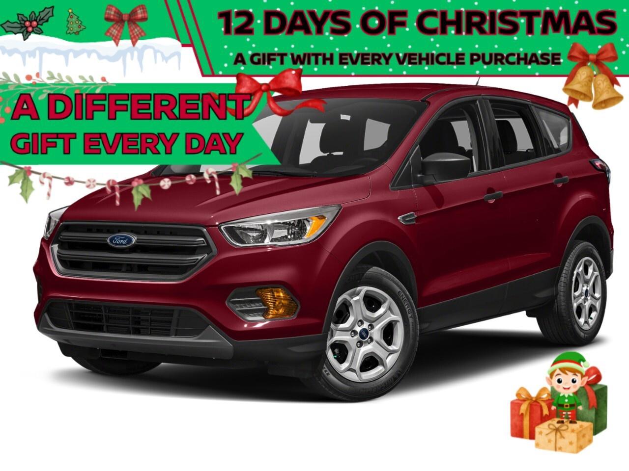 2019 Ford Escape  Photo0
