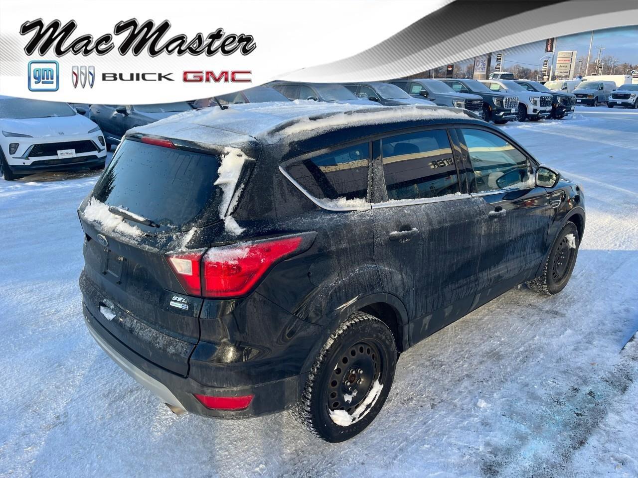 2019 Ford Escape SEL 4WD Photo