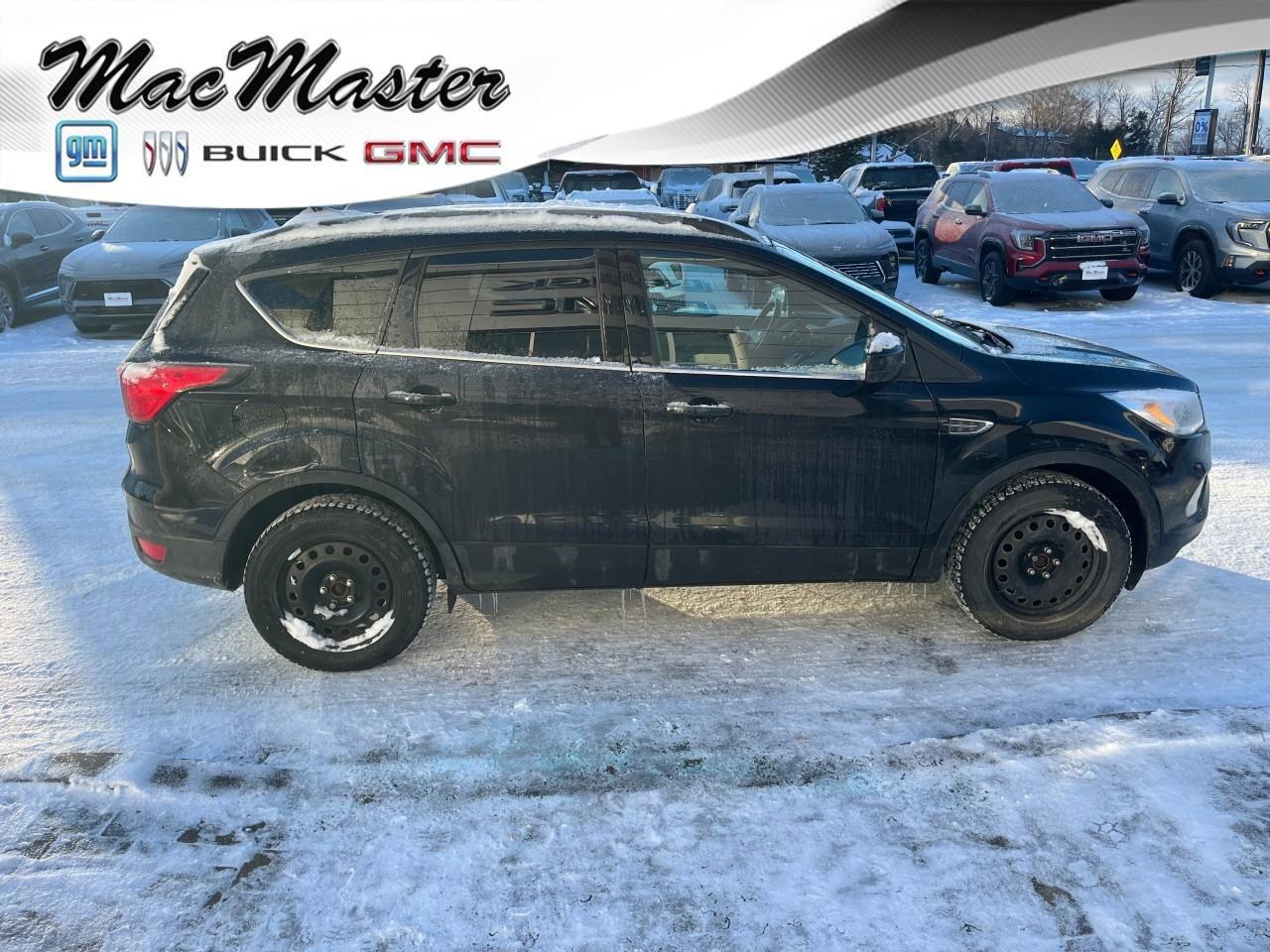 2019 Ford Escape SEL 4WD Photo