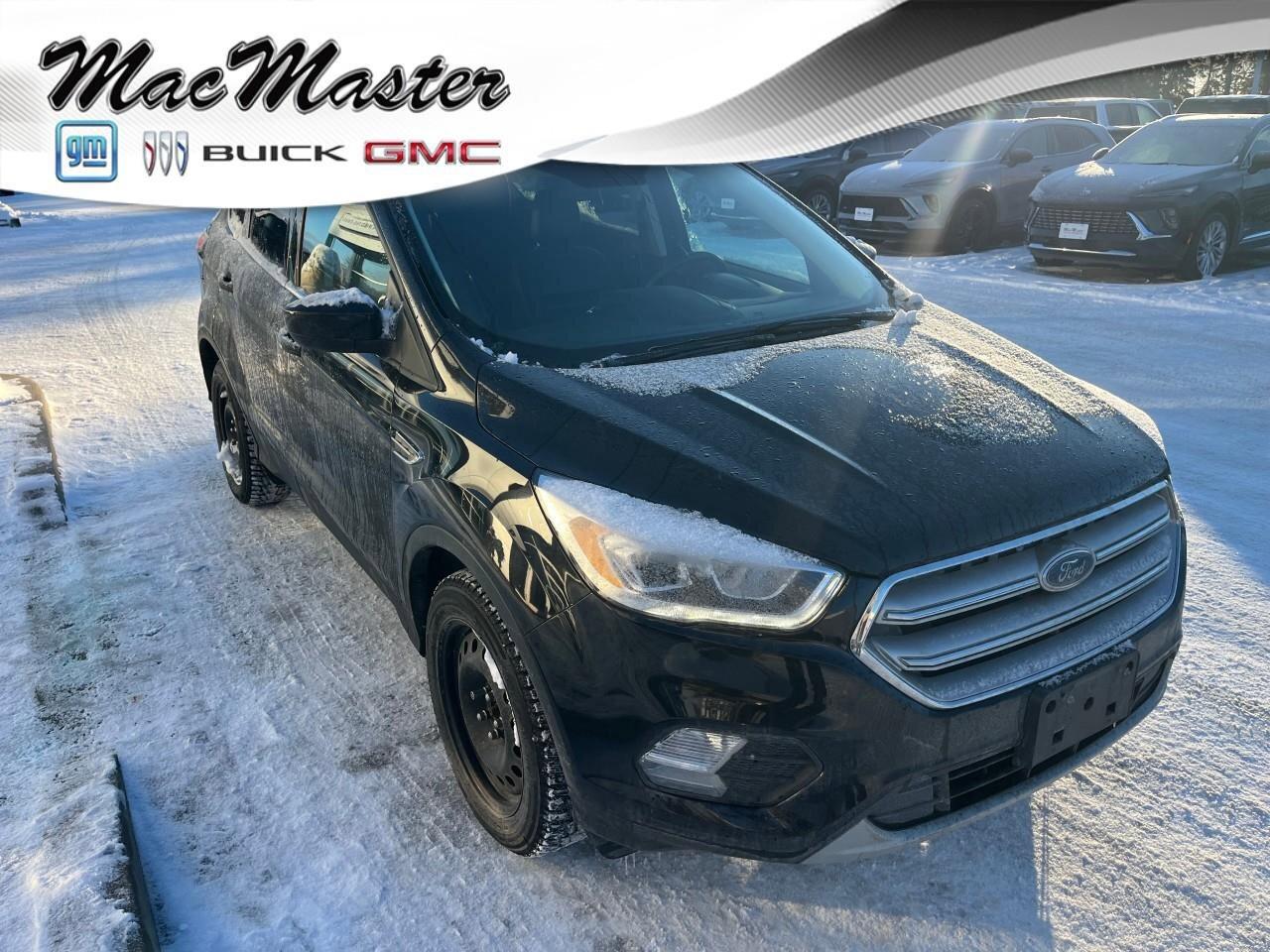 2019 Ford Escape SEL 4WD Photo