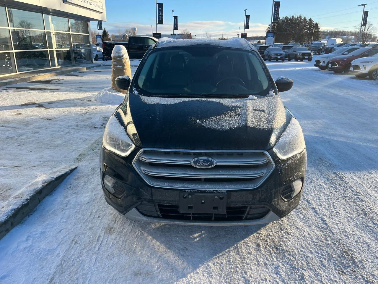 2019 Ford Escape SELSEL, 1.5 L 4 CYLINDER, AWD, ALLOYS, SNOWS, LOW Photo