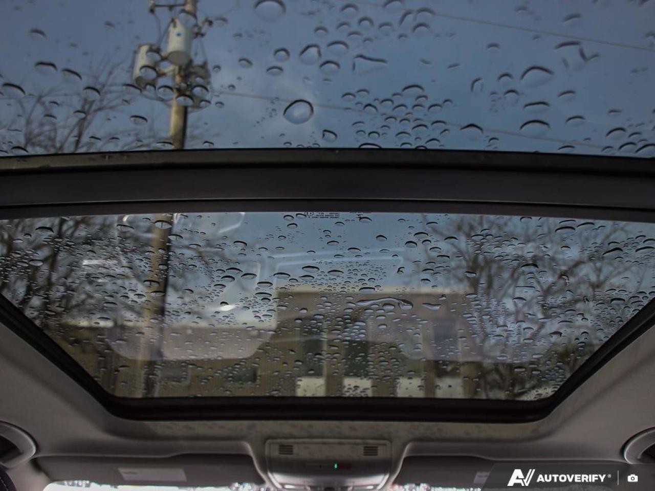 2022 Volkswagen Tiguan ComfortlineACCIDENT-FREE, AWD, SUNROOF, HTD SEATS, Photo