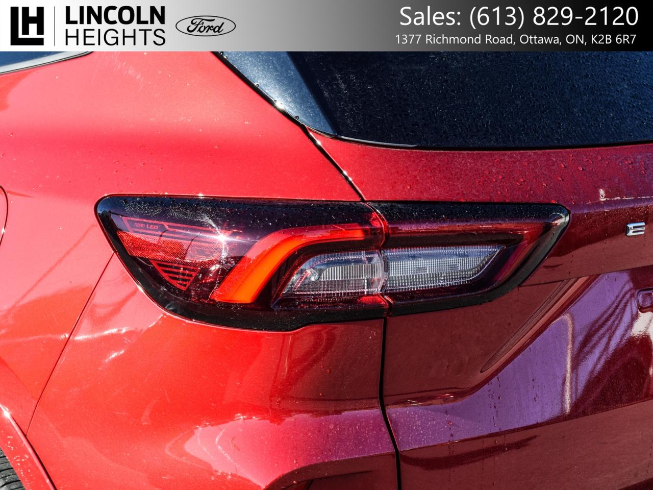 2025 Ford Escape ST-Line Elite AWD Photo