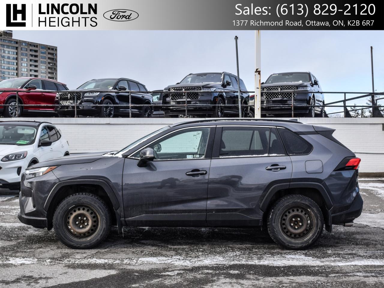 2024 Toyota RAV4  Photo2