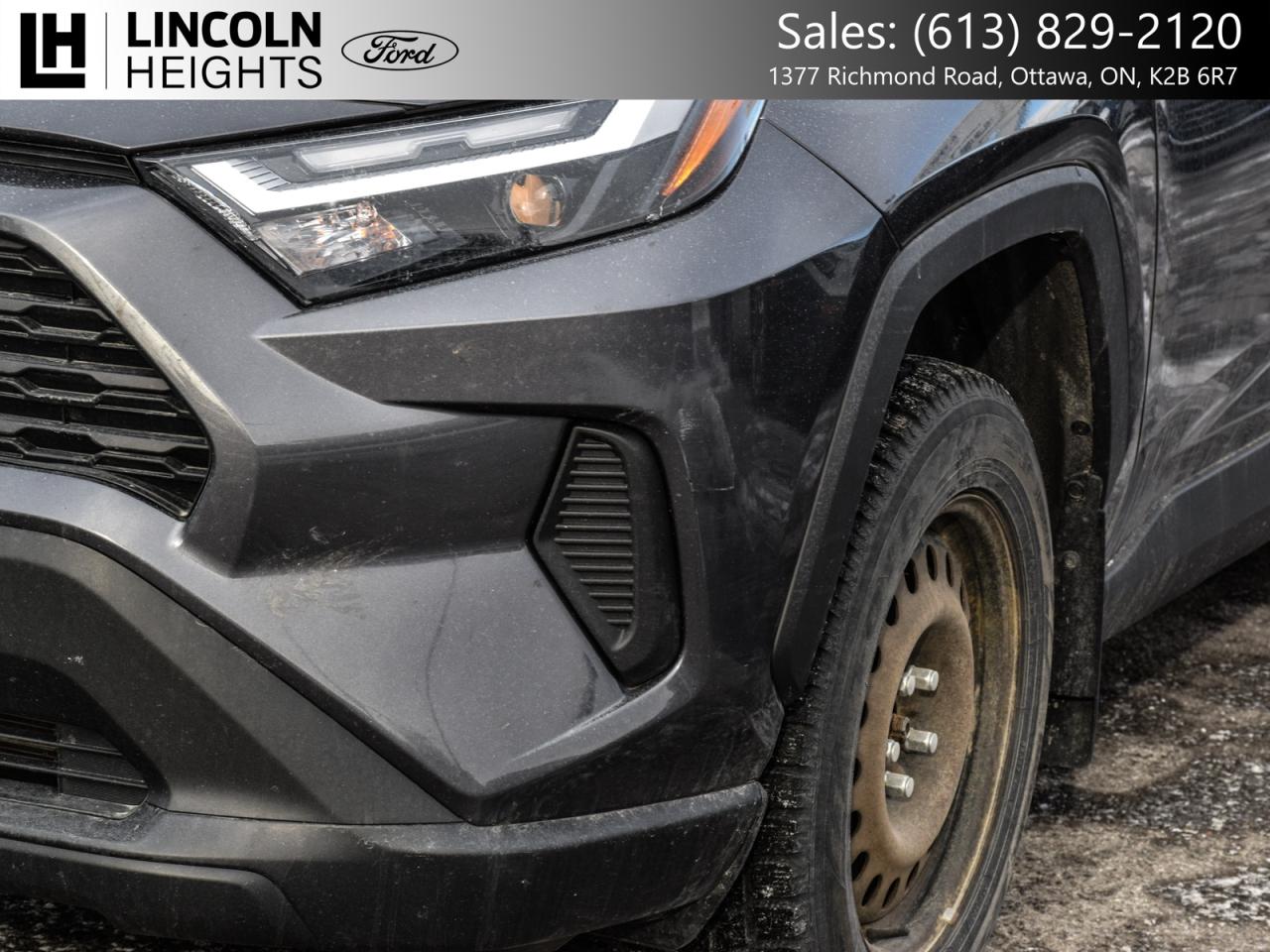 2024 Toyota RAV4  Photo