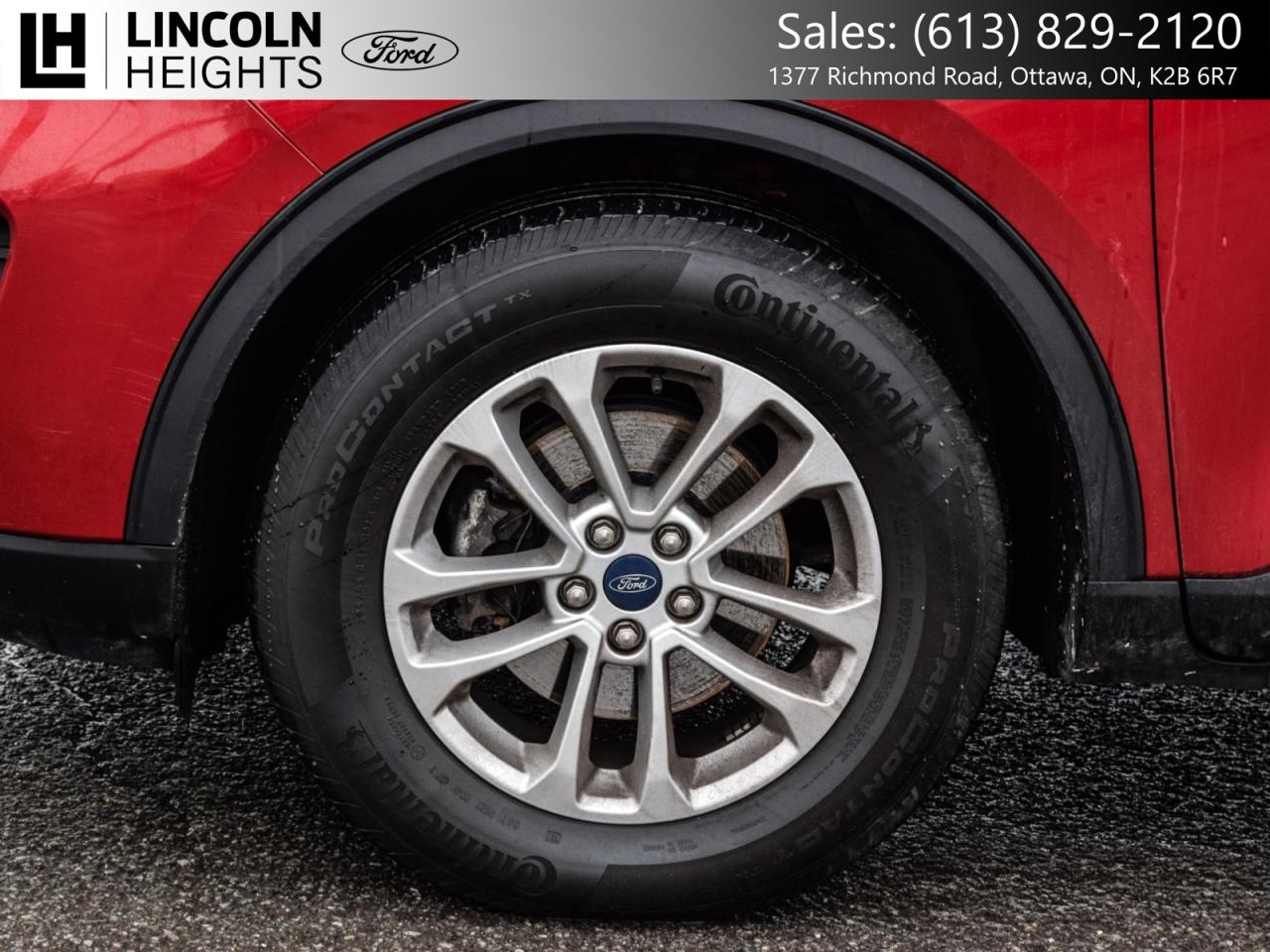 2020 Ford Escape  Photo