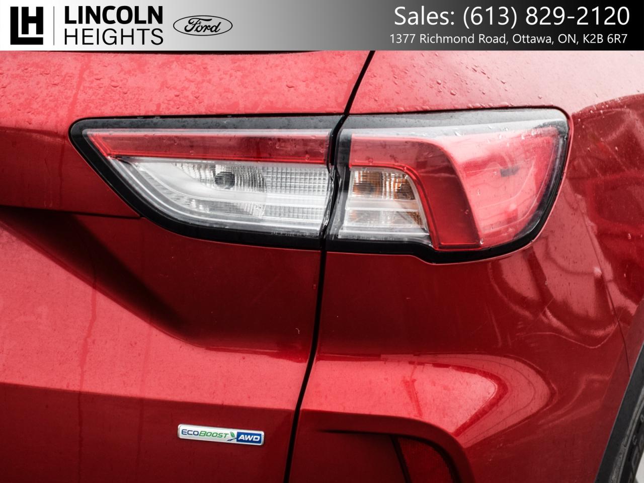 2020 Ford Escape  Photo