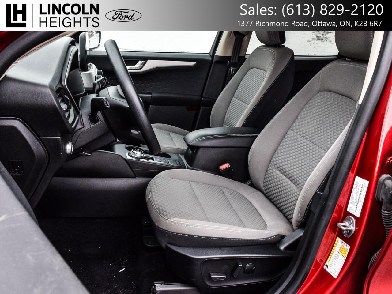 2020 Ford Escape  Photo