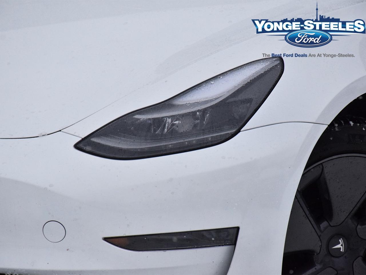 2023 Tesla Model 3 RWD Photo