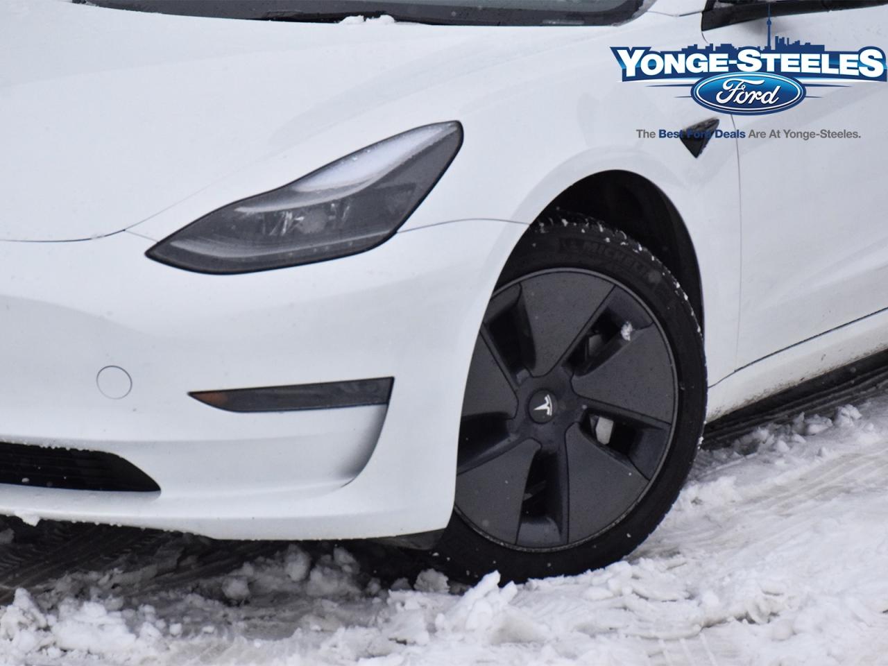 2023 Tesla Model 3 RWD Photo