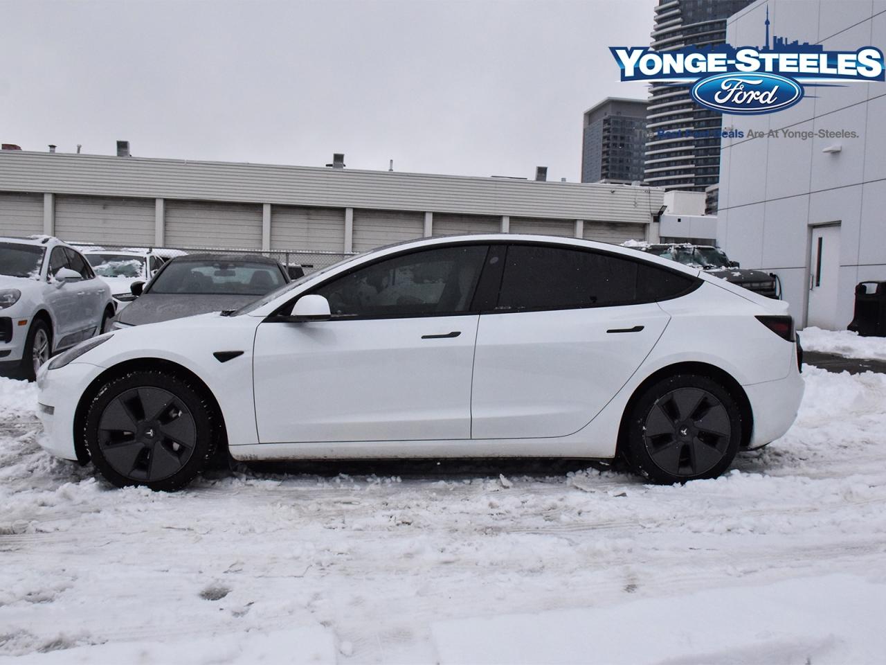 2023 Tesla Model 3 RWD Photo