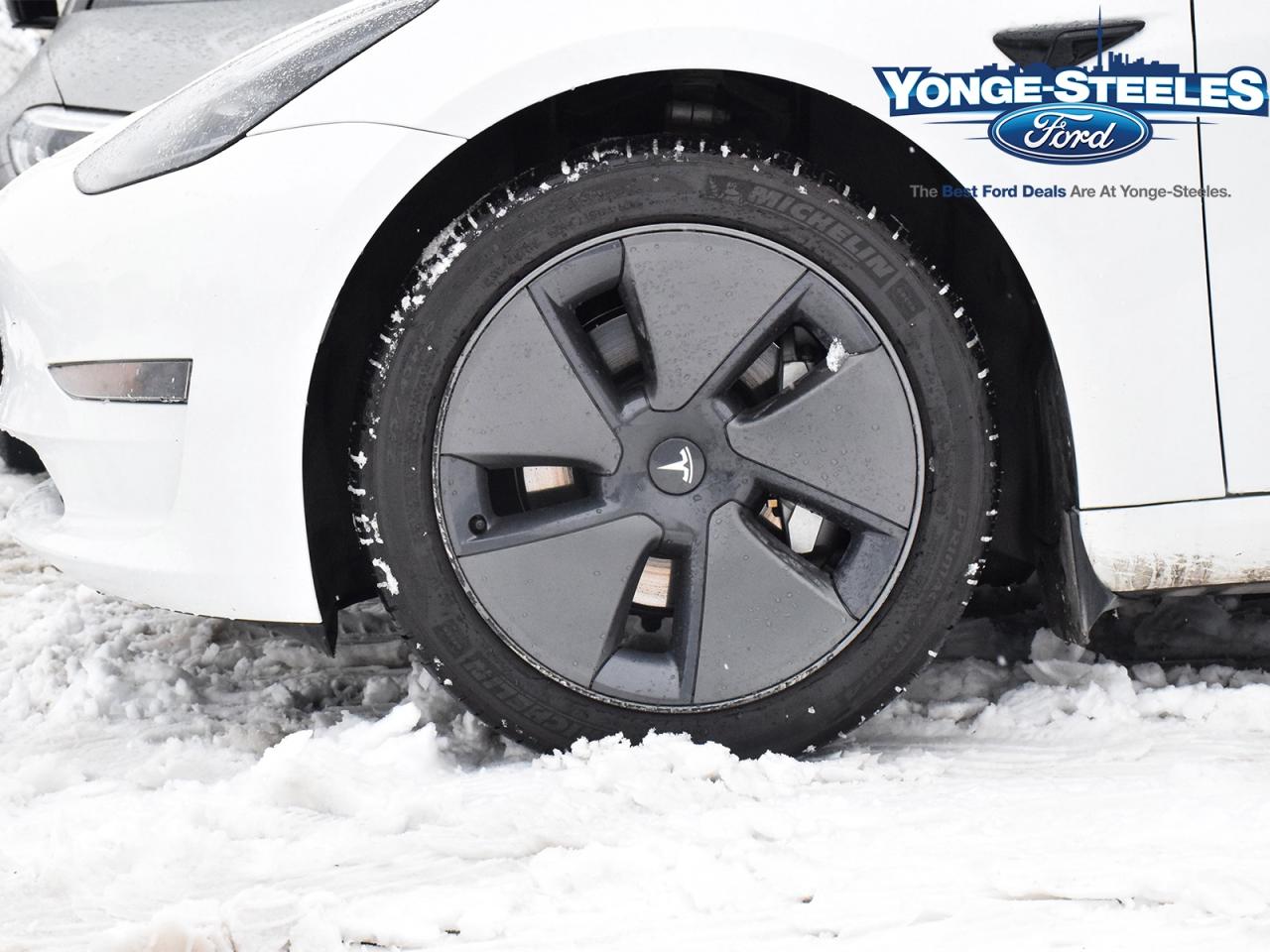 2023 Tesla Model 3 RWD Photo