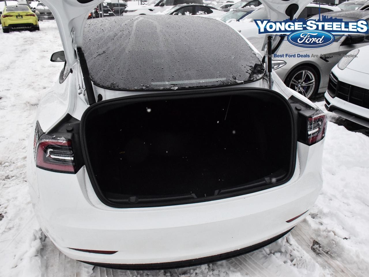 2023 Tesla Model 3 RWD Photo