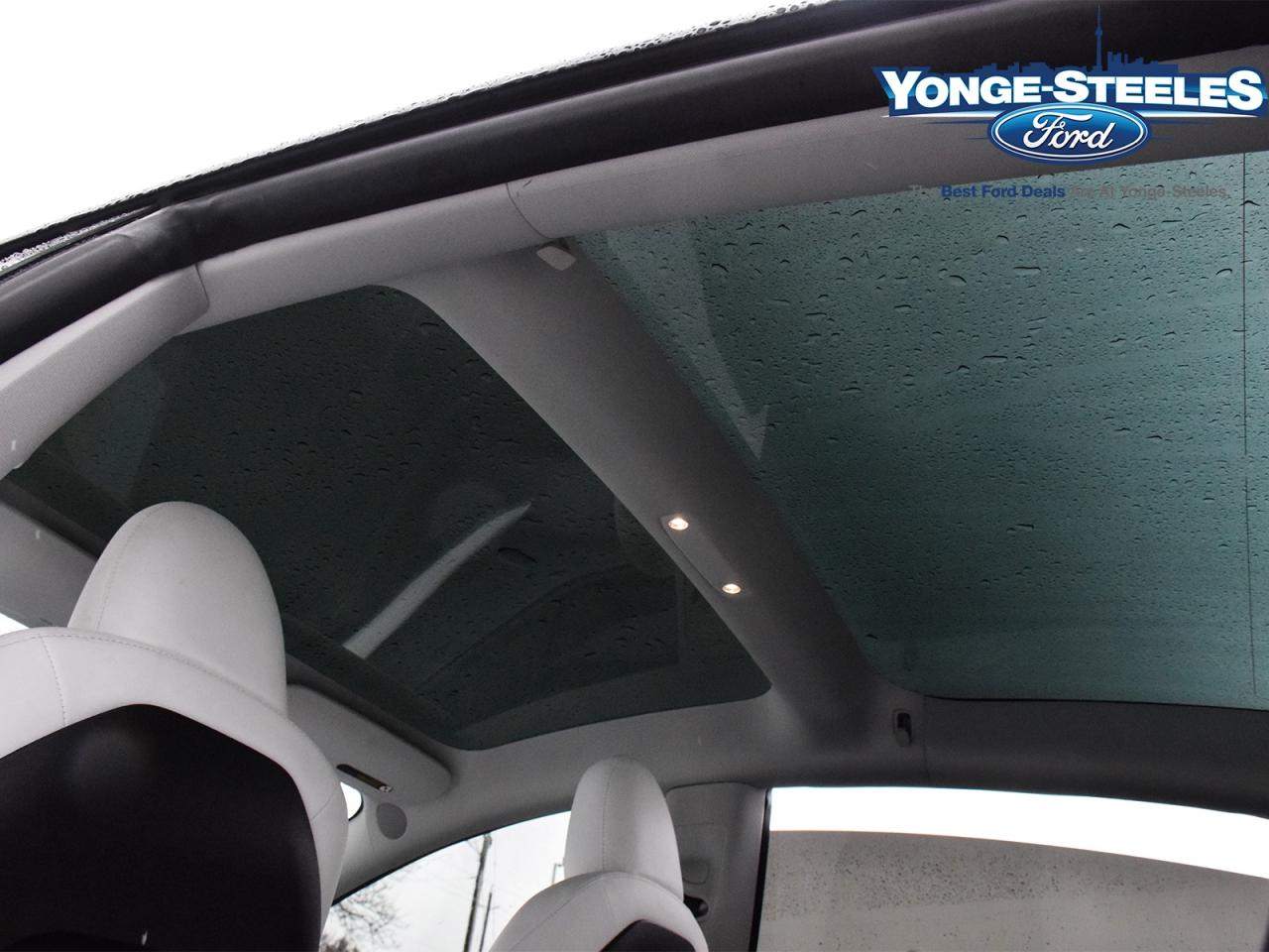 2023 Tesla Model 3 RWD Photo