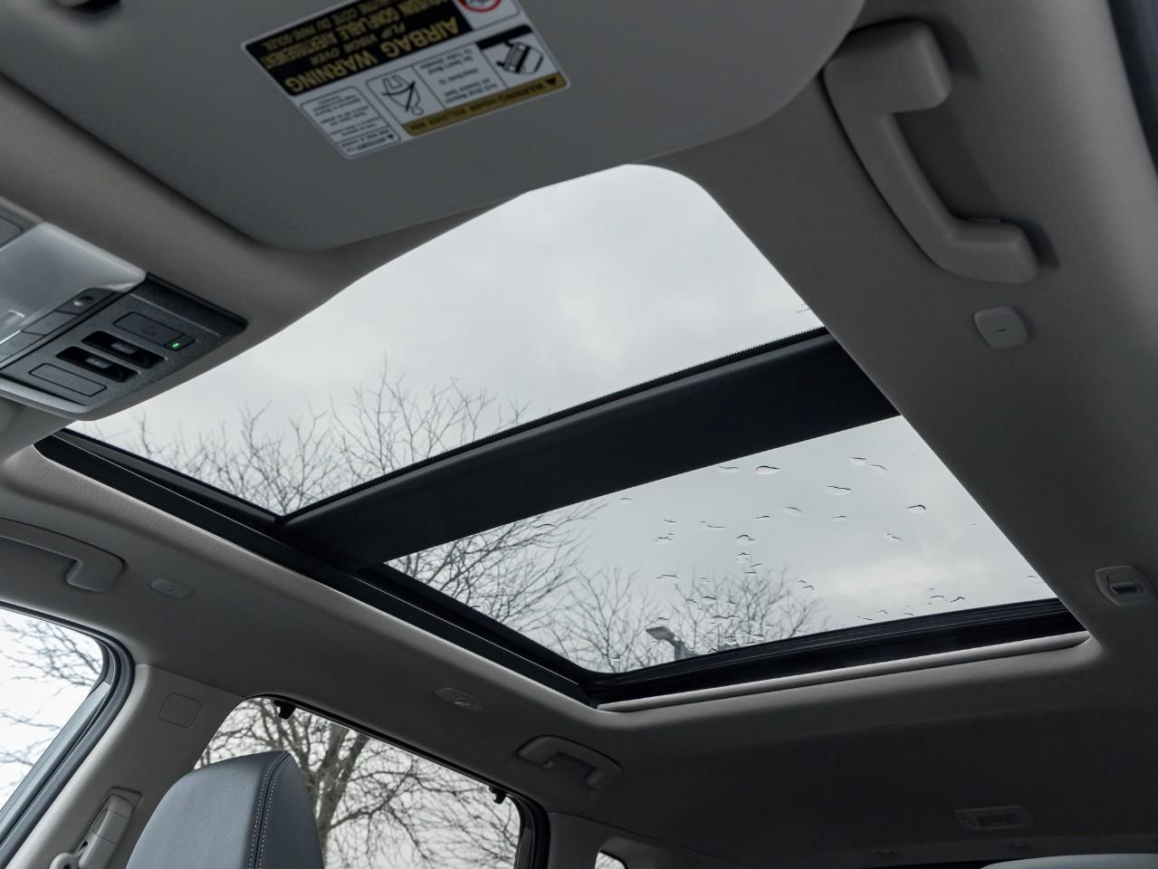 2025 Nissan Rogue SL Photo