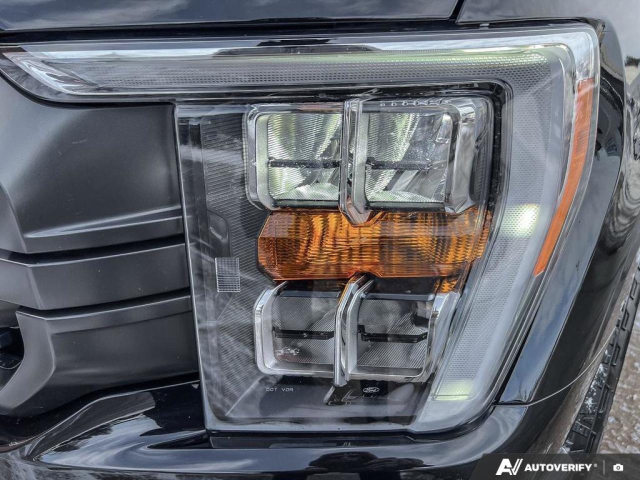 2023 Ford F-150 XLT   TRAILER TOW PKG   360 CAMERA TRAILER TOW PKG Photo