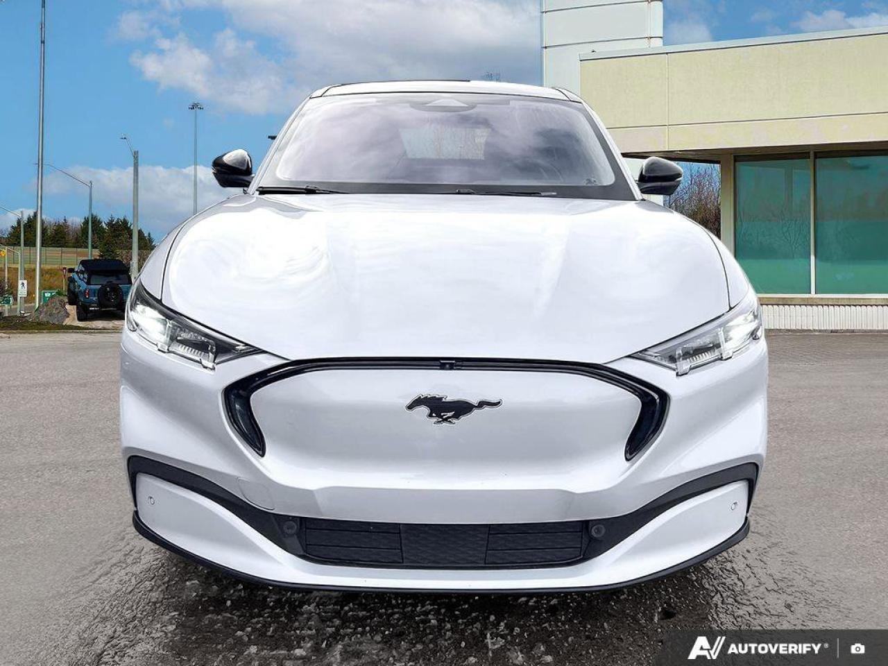 2021 Ford Mustang Mach-E Premium   EXT BATTERY   GLASS ROOF   HTD SEATS EXT Photo