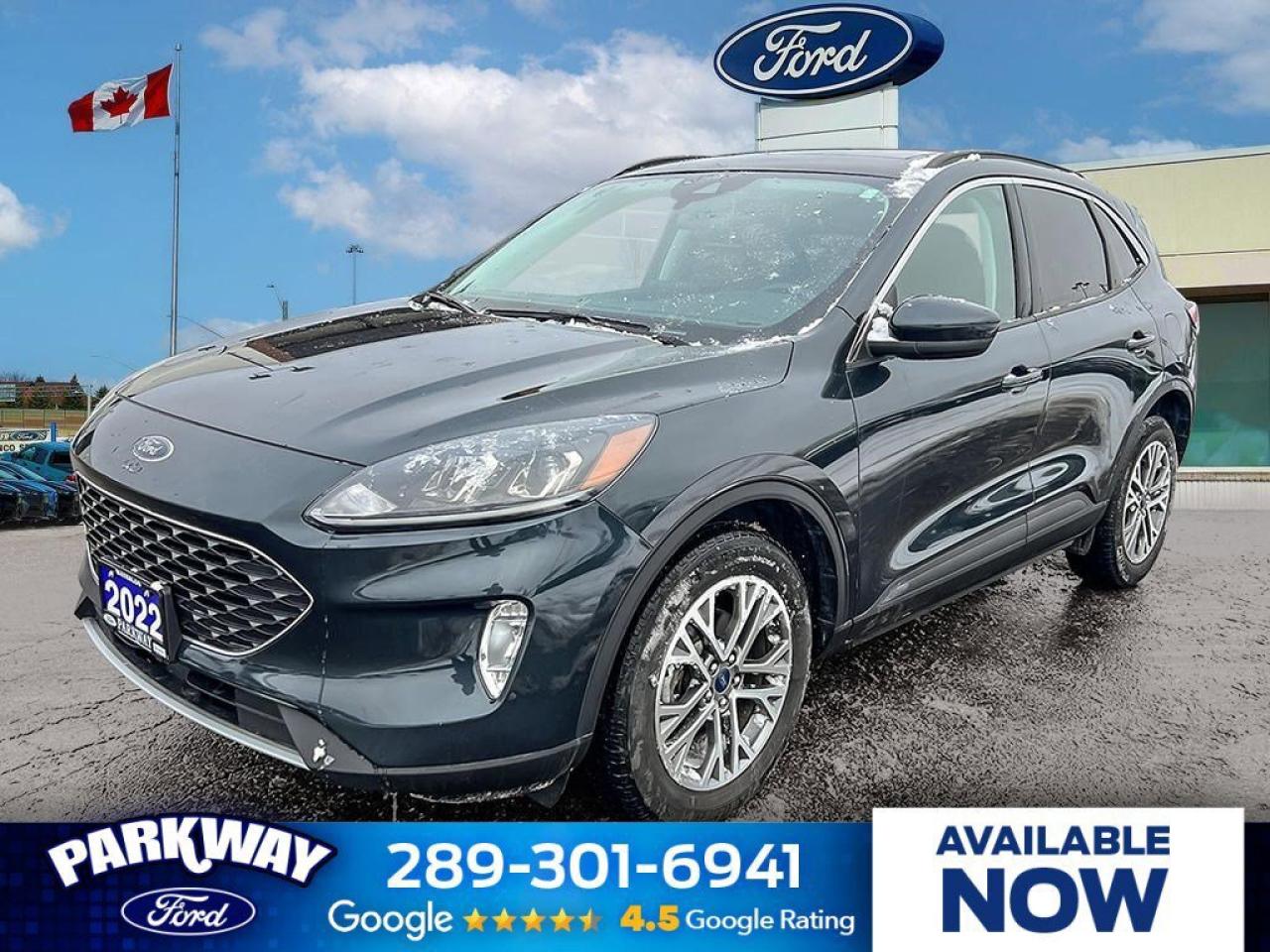 2022 Ford Escape ONE OWNER   MOONROOF   LTHR Photo0