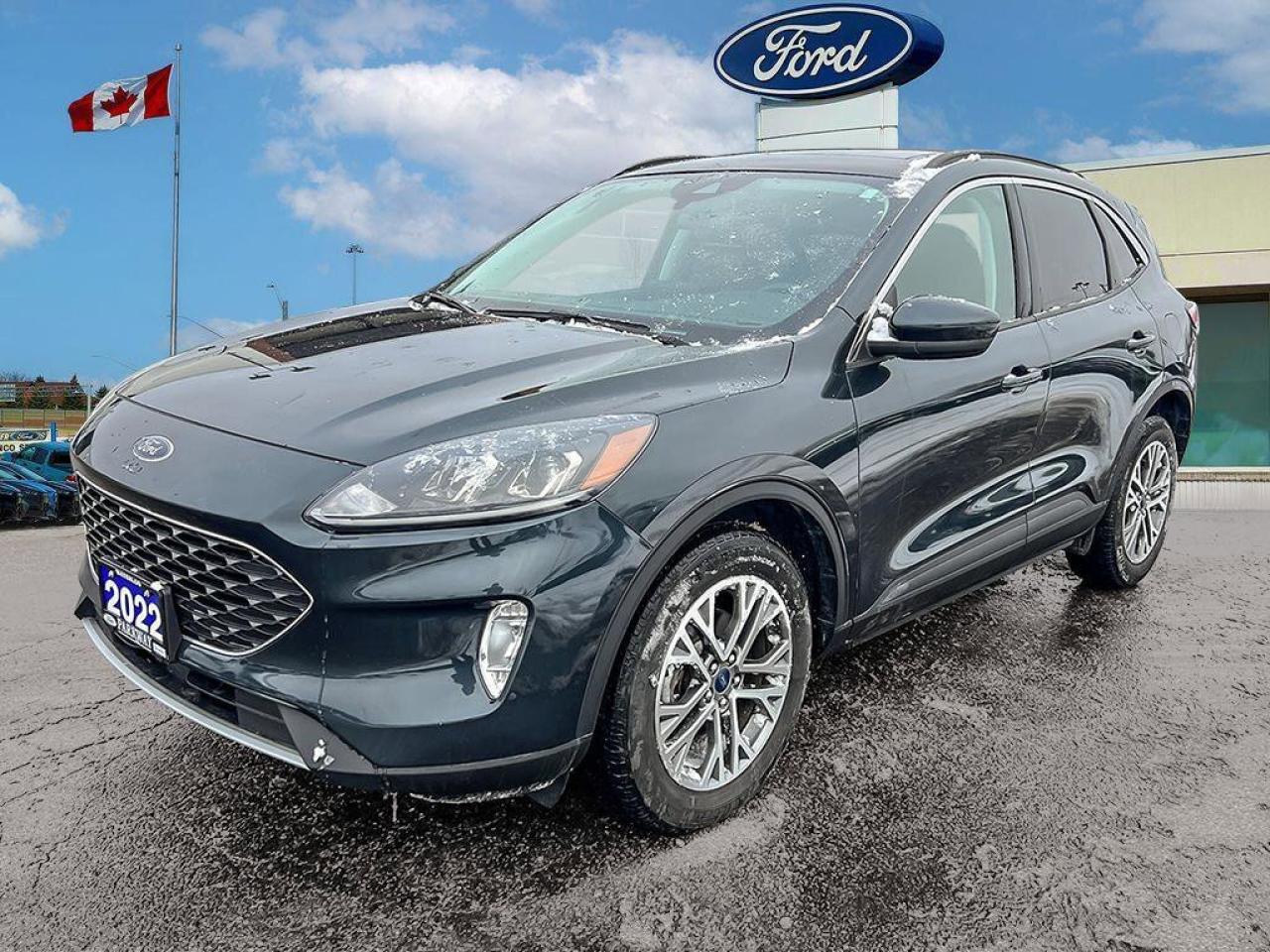 2022 Ford Escape ONE OWNER   MOONROOF   LTHR Photo