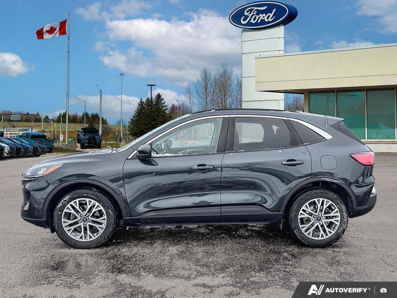 2022 Ford Escape ONE OWNER   MOONROOF   LTHR Photo3