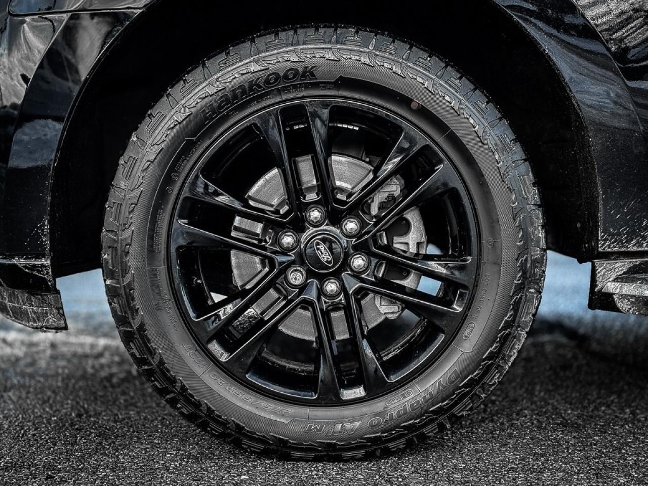 2023 Ford Expedition XLT   12 DISPLAY   PANO ROOF   REMOTE START   BLIN Photo