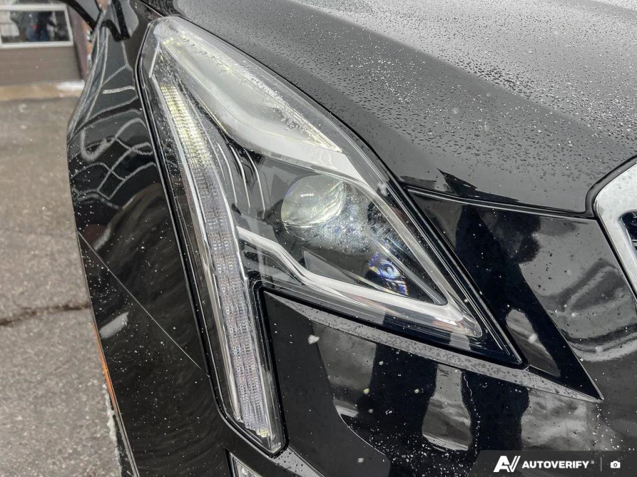 2023 Cadillac XT5 AWD Premium Luxury   ONE OWNER   MOONROOF   LTHR O Photo