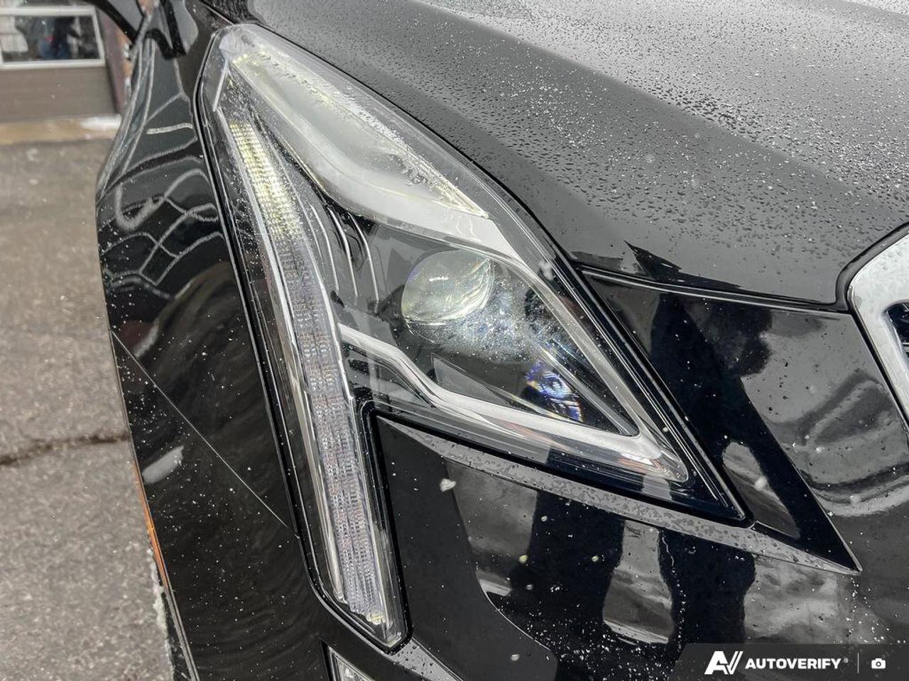 2023 Cadillac XT5 AWD Premium Luxury   ONE OWNER   MOONROOF   LTHR Photo