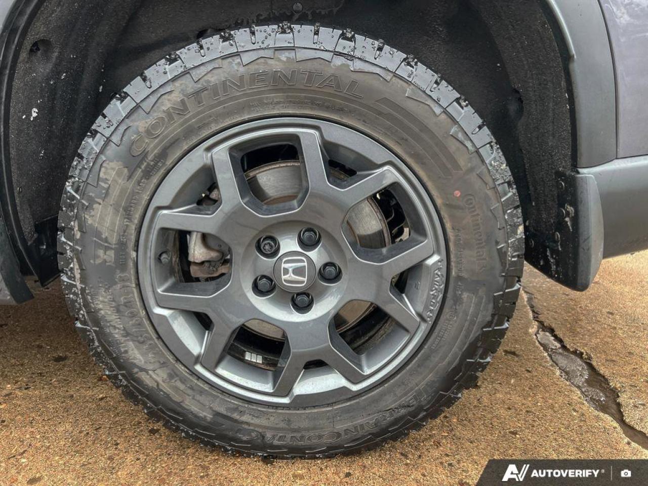 2024 Honda Pilot ONE OWNER   LEATHER   MOONROOF Photo