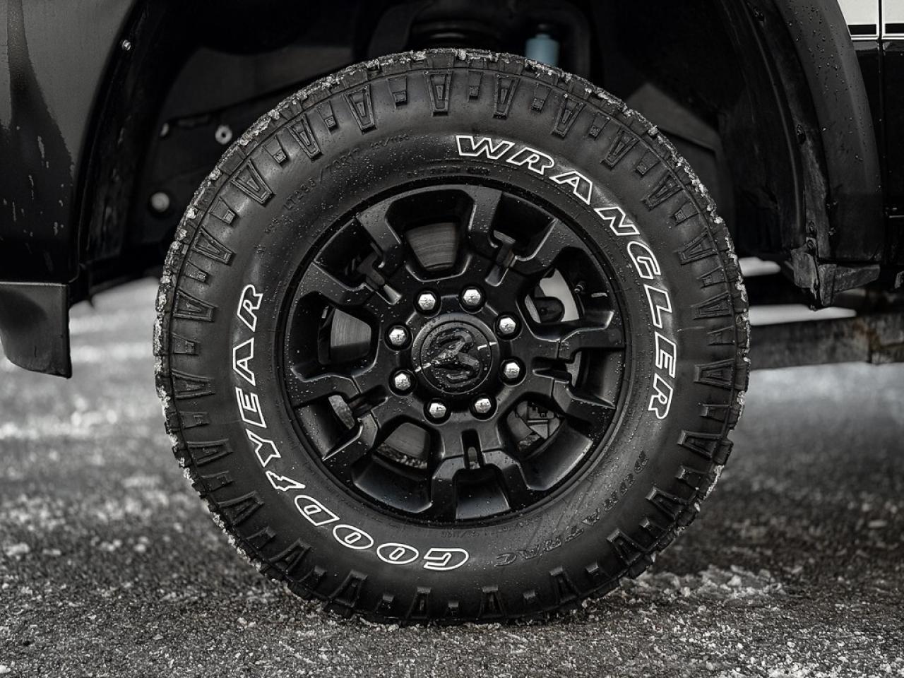 2025 RAM 2500 Rebel/Power Wagon   CREW   HEMI   LEVEL 2   PASS D Photo