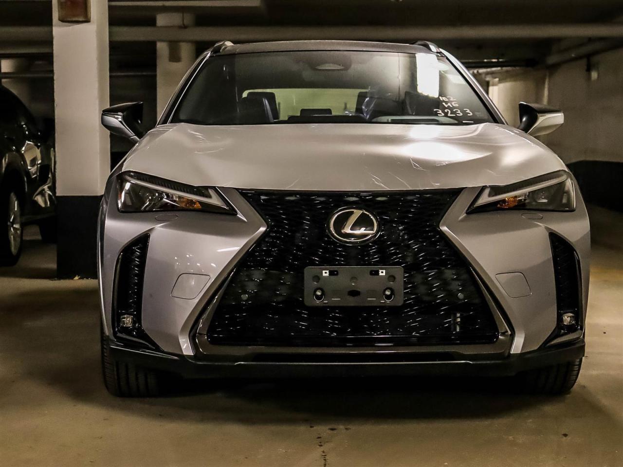 2025 Lexus UX UX 300h CVT Photo