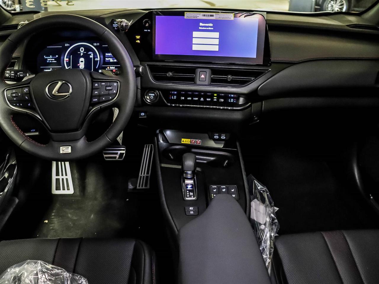 2025 Lexus UX UX 300h CVT Photo