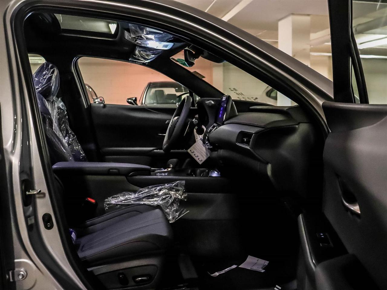 2025 Lexus UX UX 300h CVT Photo