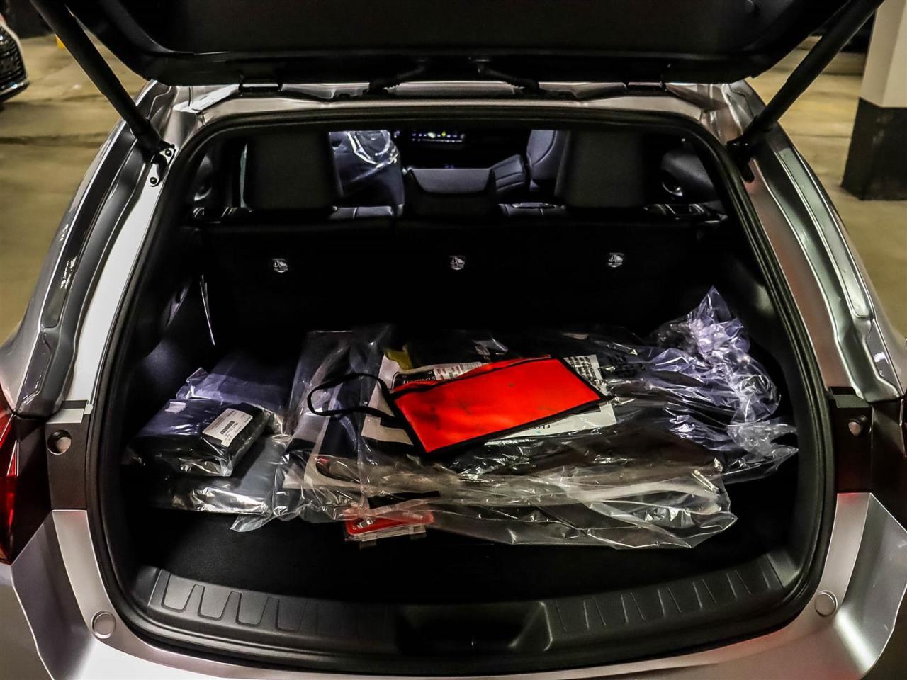 2025 Lexus UX UX 300h CVT Photo