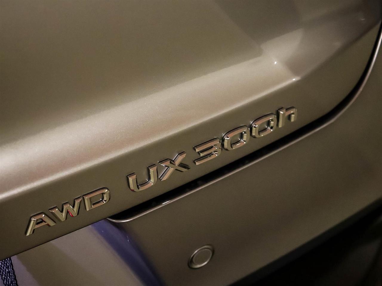 2025 Lexus UX UX 300h CVT Photo