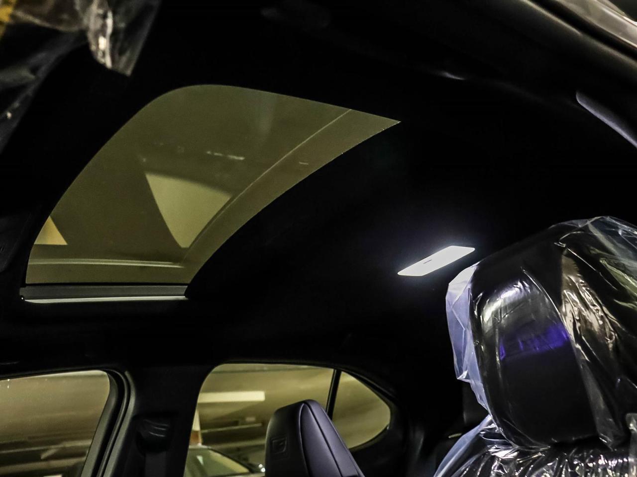 2025 Lexus UX UX 300h CVT Photo