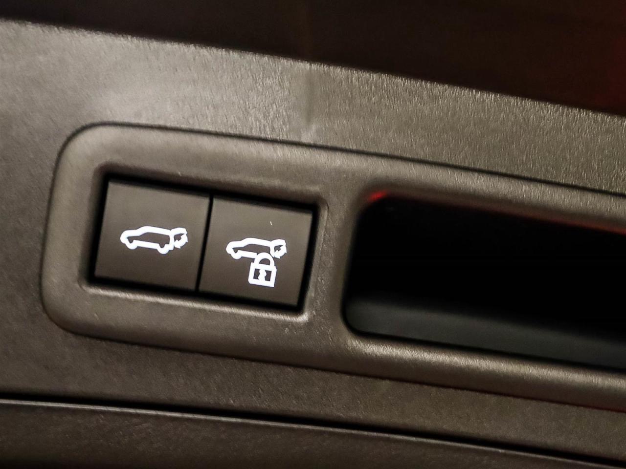 2025 Lexus UX UX 300h CVT Photo