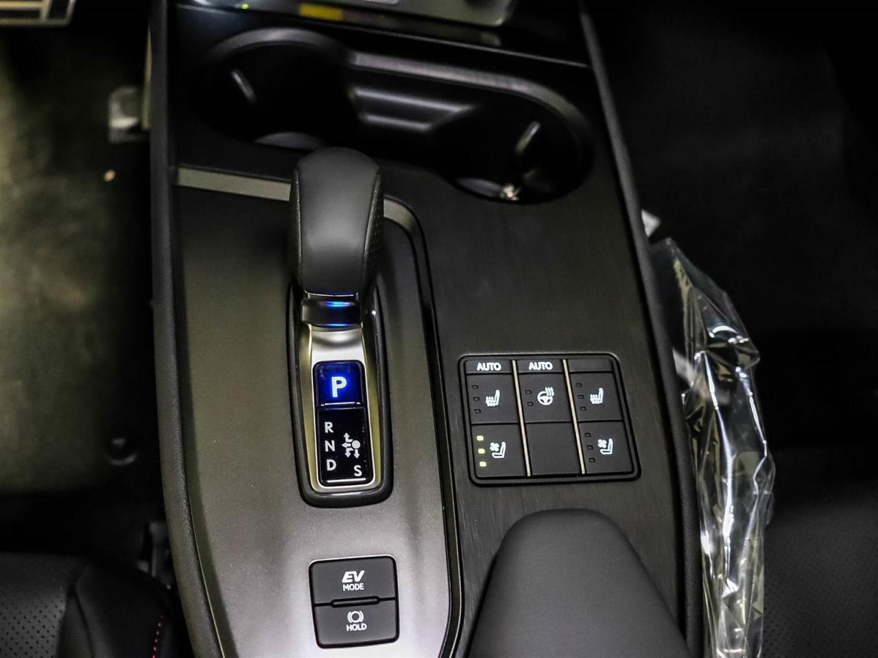 2025 Lexus UX UX 300h CVT Photo