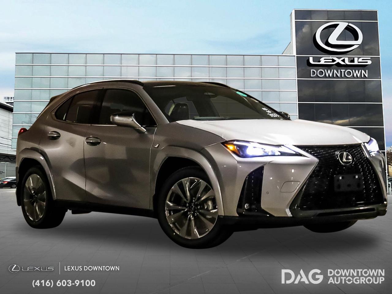 2025 Lexus UX UX 300h CVT Photo