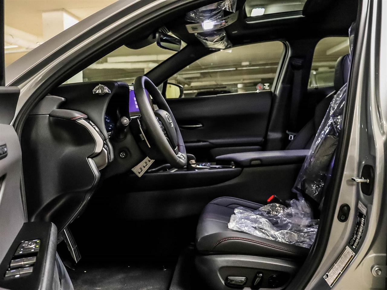 2025 Lexus UX UX 300h CVT Photo