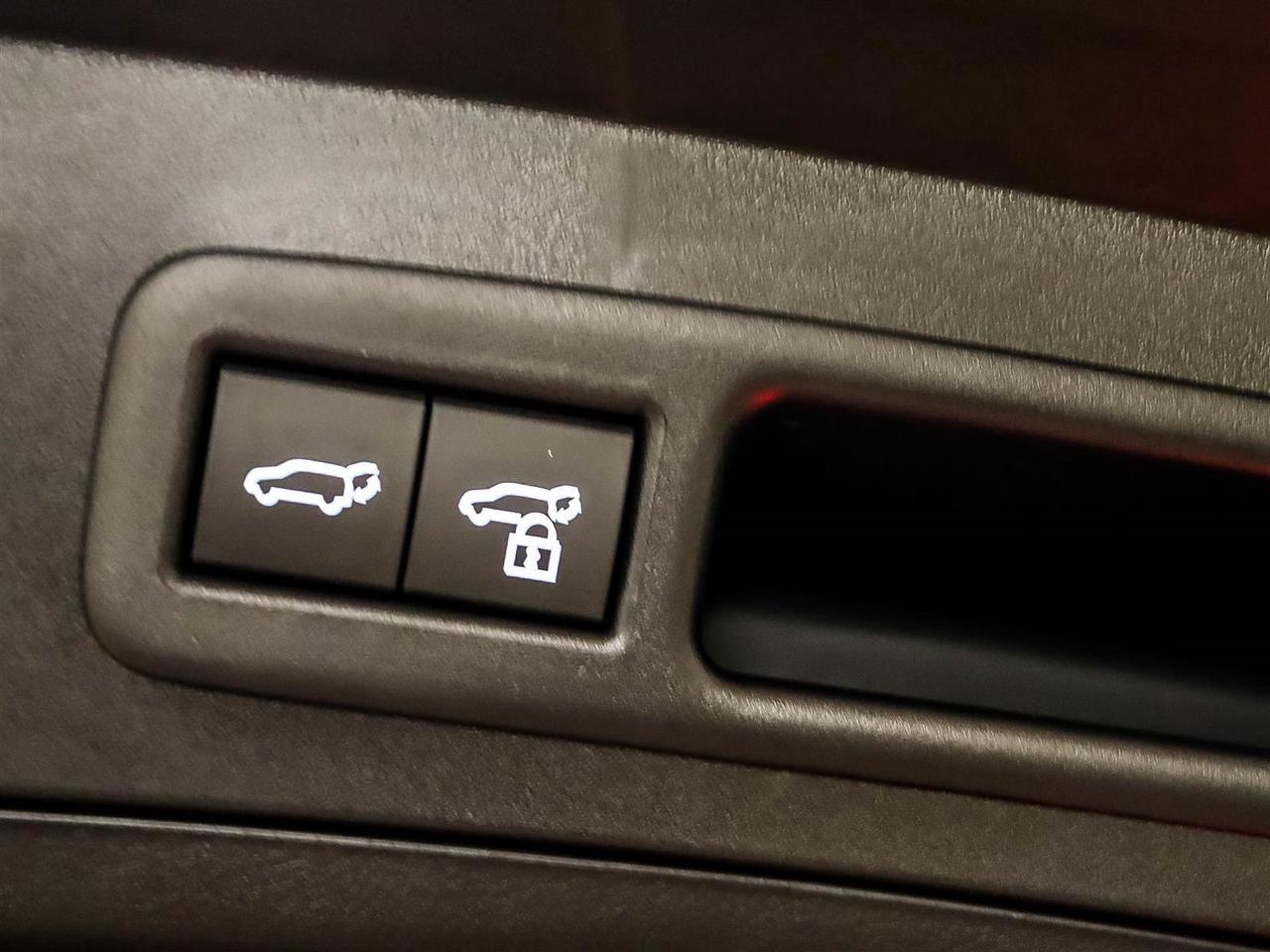 2025 Lexus UX UX 300h CVT Photo