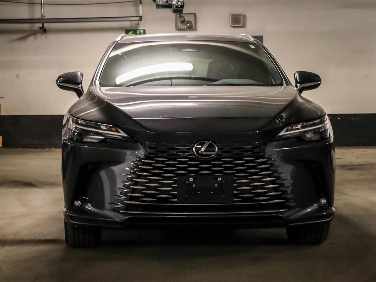 2025 Lexus RX RX 350 Auto Photo