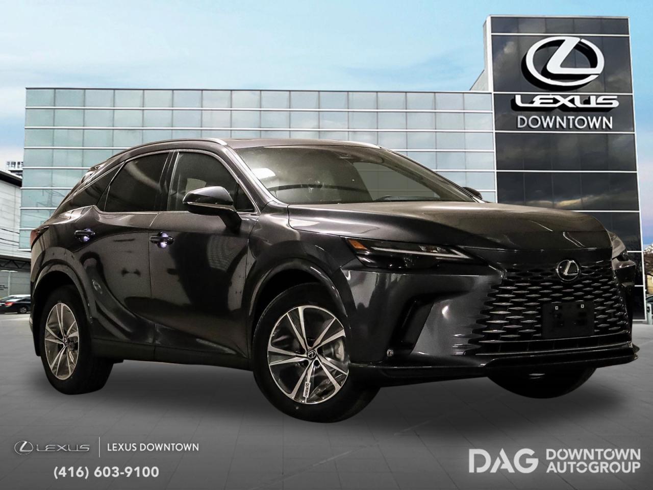 2025 Lexus RX RX 350 Auto Photo