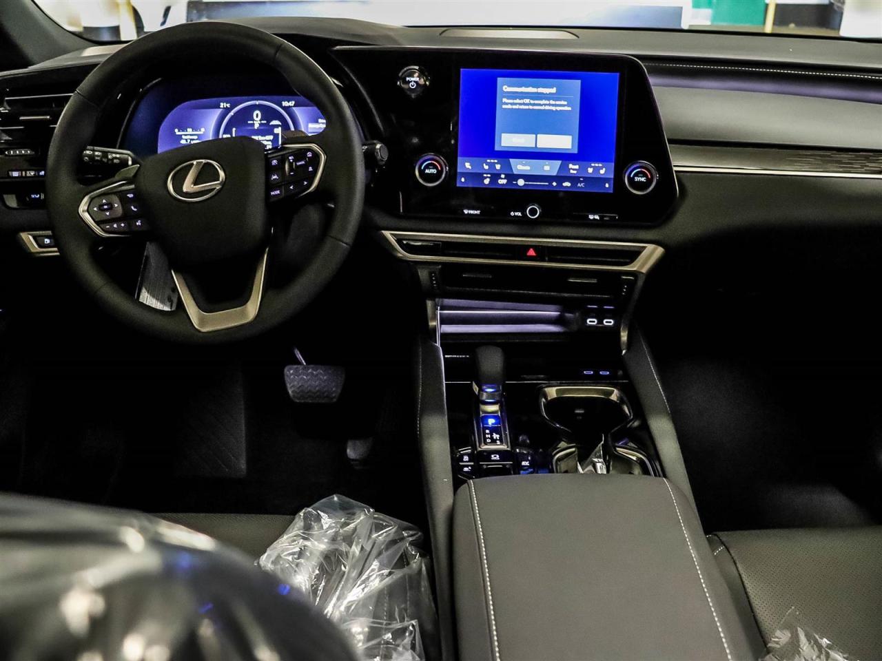 2025 Lexus RX RX 350 Auto Photo